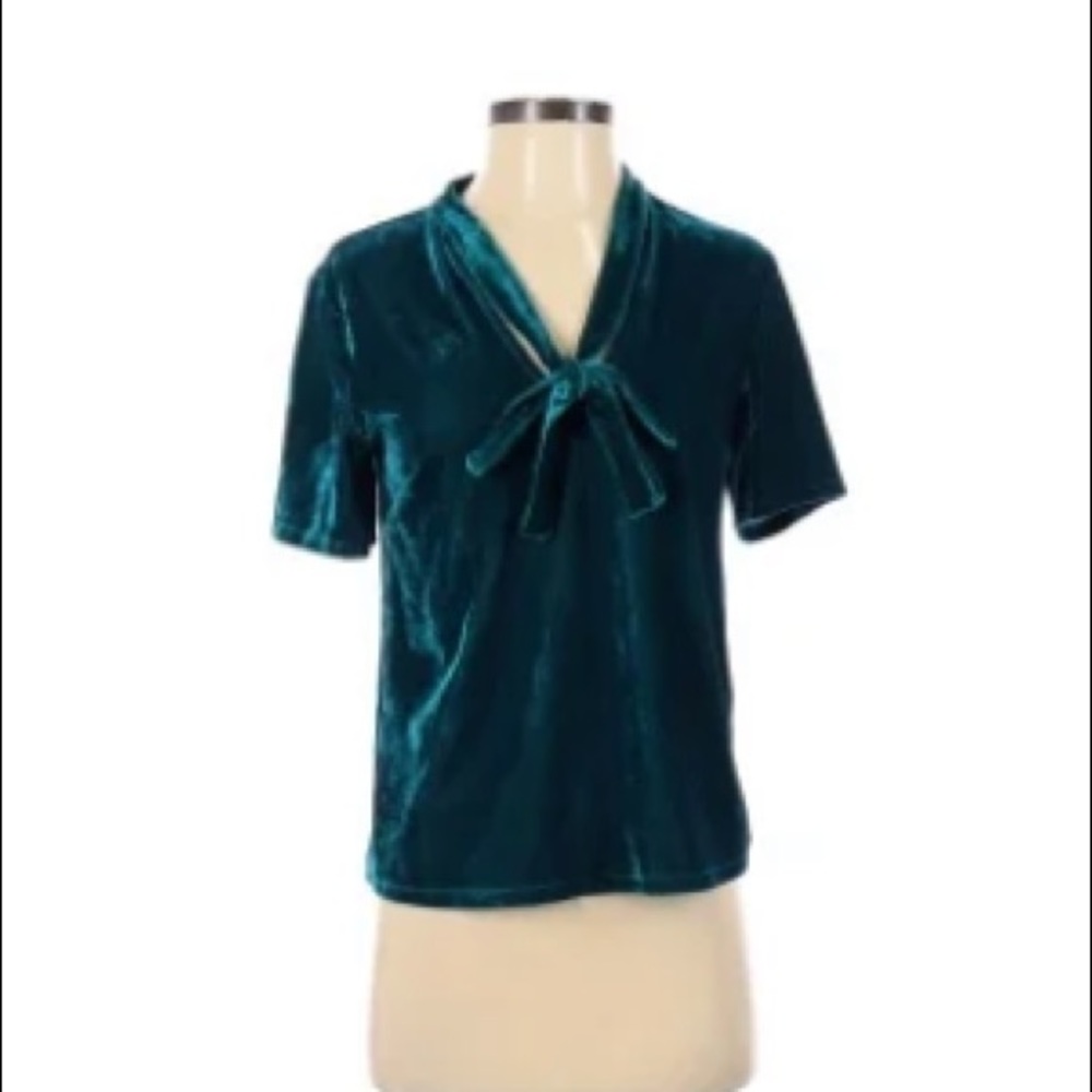 Anthropologie Velvet Top
